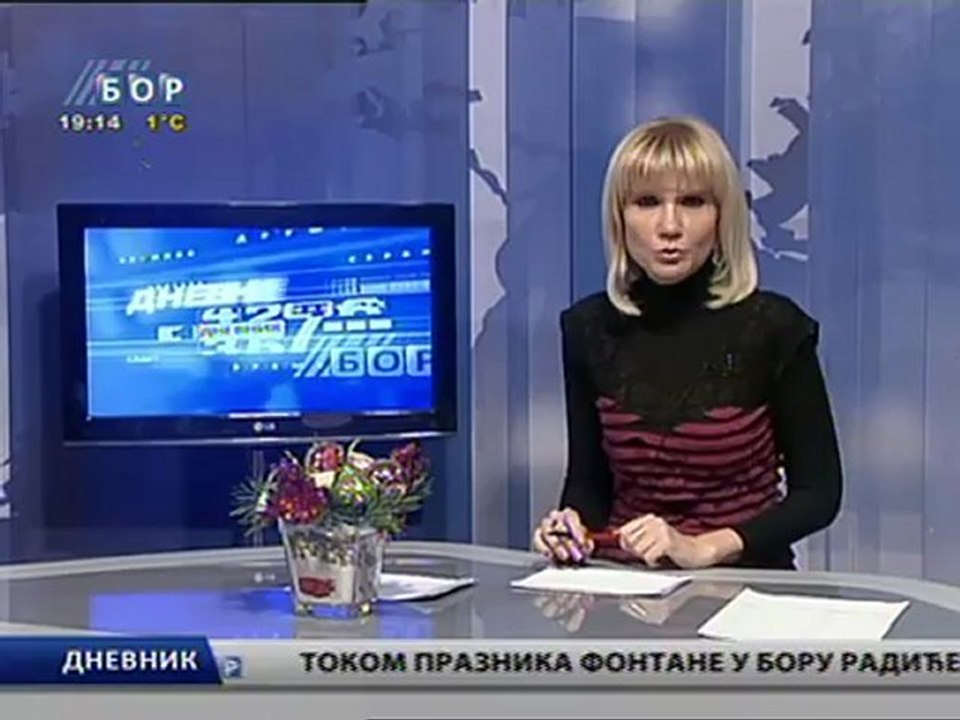 Dnevnik, 31. decembar 2011.