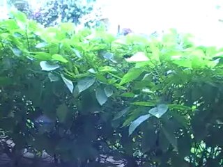 ROBINSON Club Esquinzo Playa Fuerteventura Zimmer Doppelzimmer von www.Fella.de