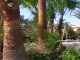 Iberotel Makadi Beach  Makadi Bucht Ägypten Hurghada Video Film von Hubert Fella