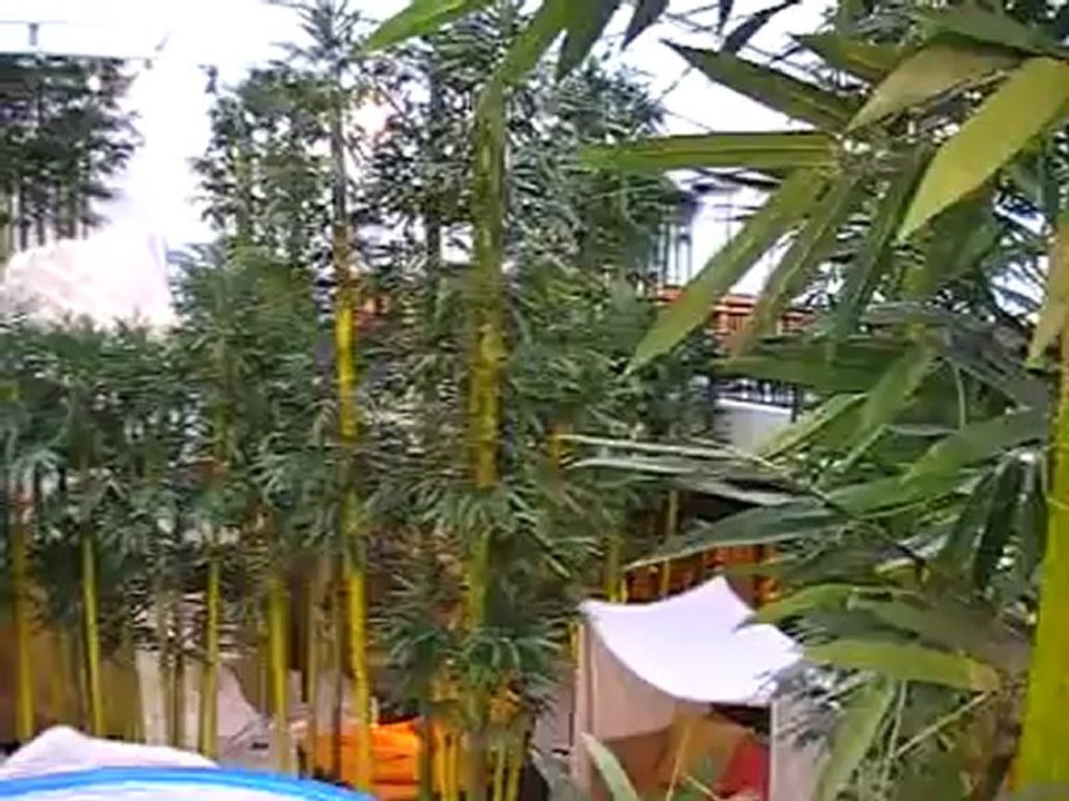 AIDAblu Hamburg Wellnessberich Hafen AIDA kreuzfahrten AIDAblue Film Video Clubschiff