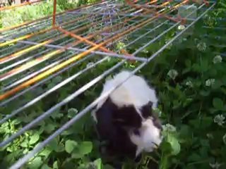 Petit repas dehors 2