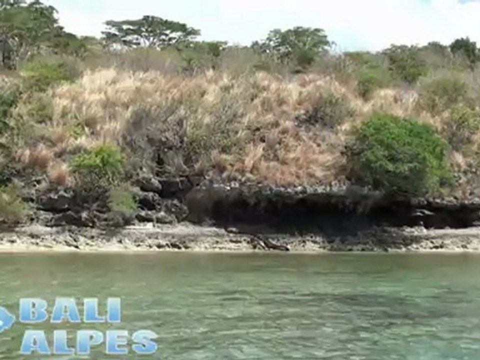 L'île de Menjangan à Bali