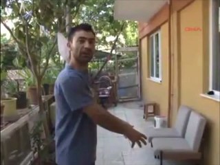 Ev Köpeği Çocuğun Yüzünü Parçaladı!