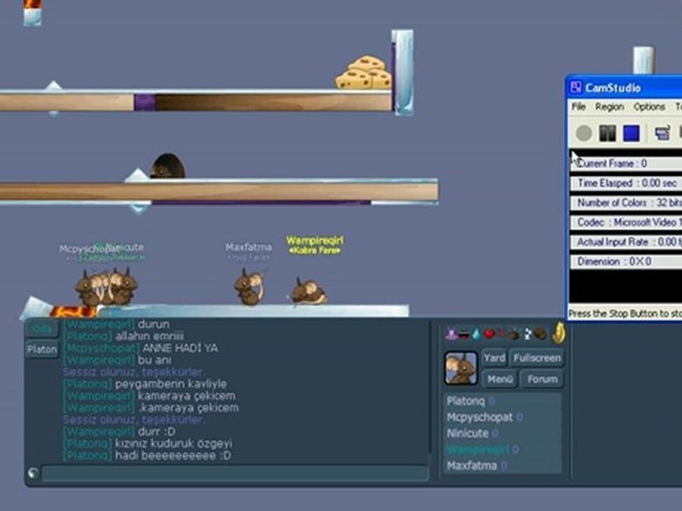 Transformice kız isteme