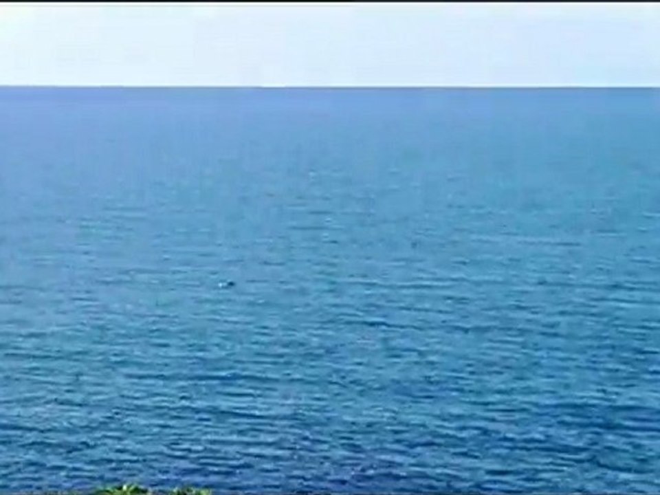 Karadeniz'de Bir Yunus/  A Dolphin in The Blacksea