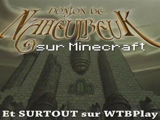 Trailer Donjon de Naheulbeuk sur Minecraft