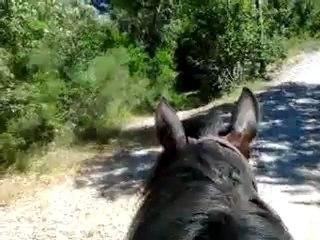 Chemin de provence...........Karta aujourd'hui pas de problème sur les cailloux