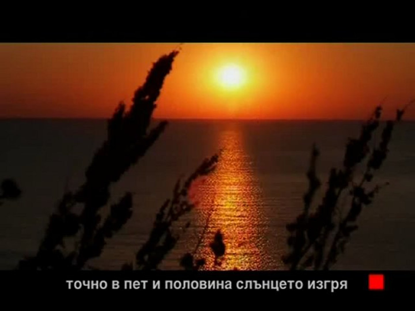 Отечествен Фронт 30.06.12