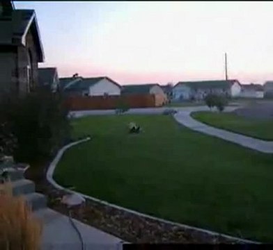 Вот как надо играть с собакой