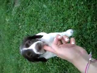 video-2012-06-30-18-39-55
