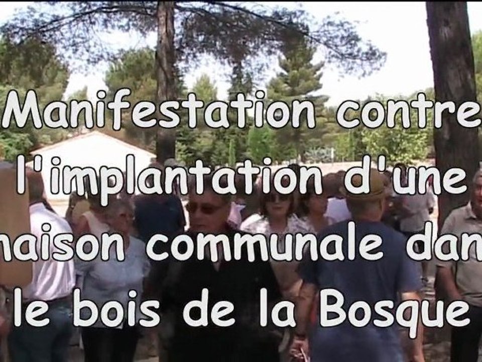 bosque2