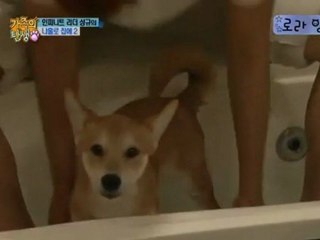 BOAF Infinite ep 09 parte 3-3 sub español