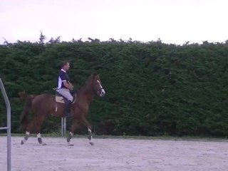 tadj mahal des songes