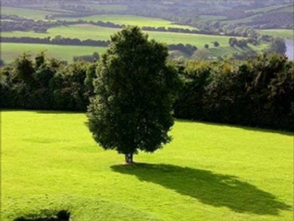 IRLANDE