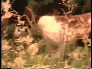 Stjean N. detto Spadina - dokumentarni film