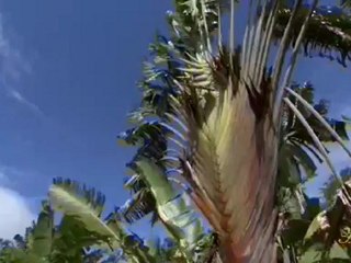 Rabbimiz'in bitkilerin hücrelerinde kuraklığa karşı yarattığı koruyucu mekanizmalar