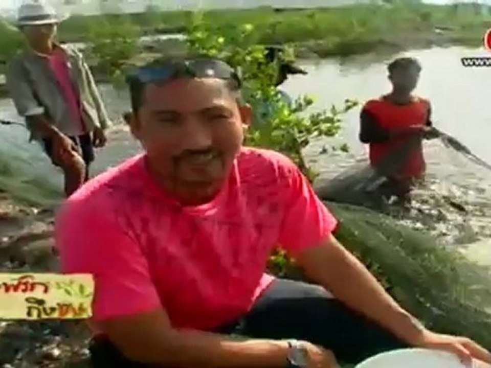 ถึงพริก ถึงขิง 200655 ปลาเก๋าราดซอลเต้าเจี๋ยวขิงสดน้ำสดน้ำมันงา