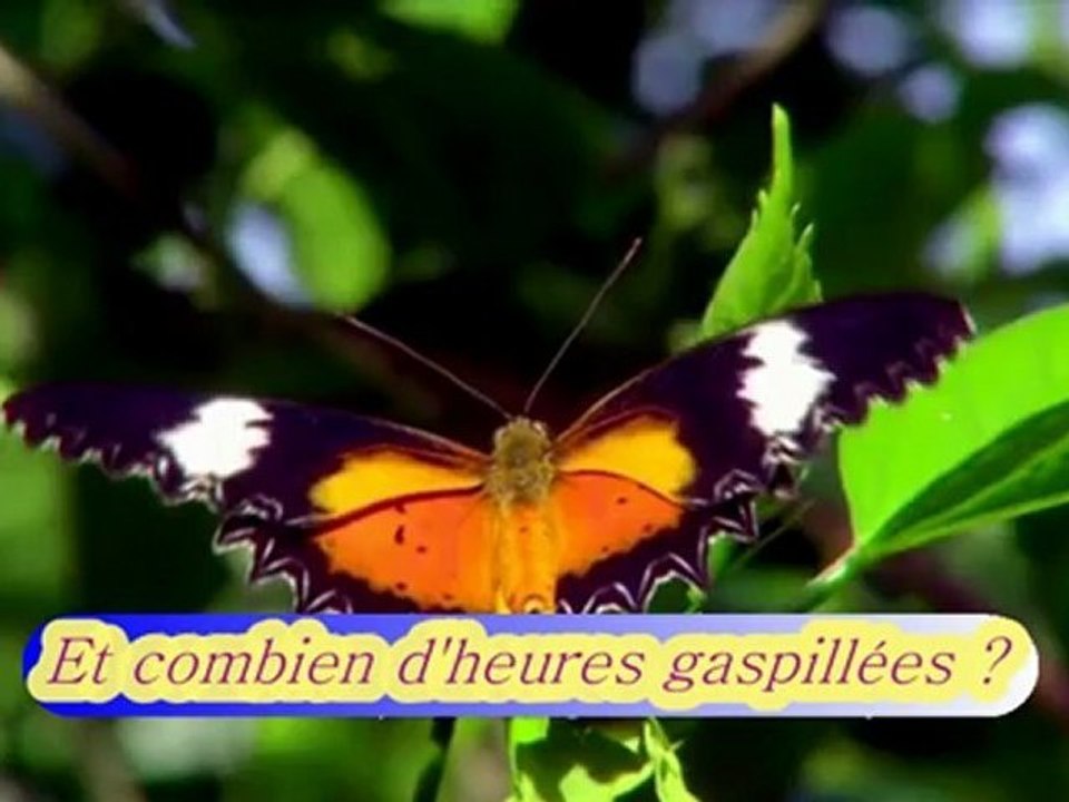 interroge toi sur cette vie, avant qu'il ne soit trop tard