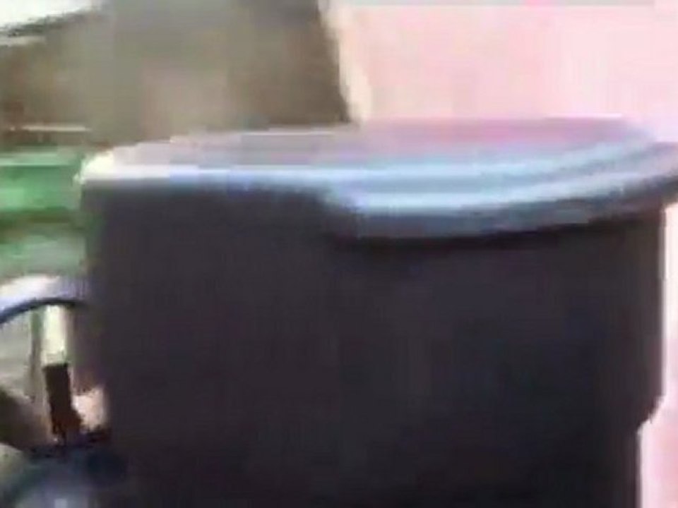 paintball milsim T.F.