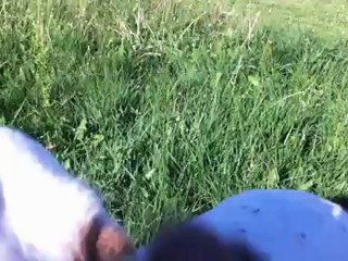 LİŞA EĞİTİM VİDEOLARI