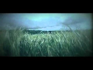 Amon Amarth verkent alle hoeken van metalgenre