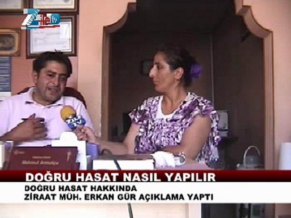 Doğru hasat nasıl yapılır_zileweb