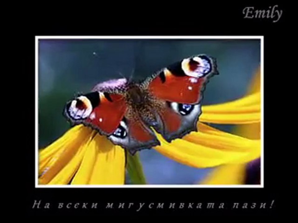 Рецепта за щастие