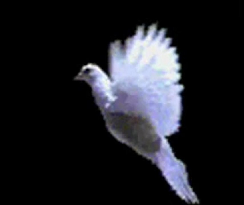 hüzün akşamlar cökünce