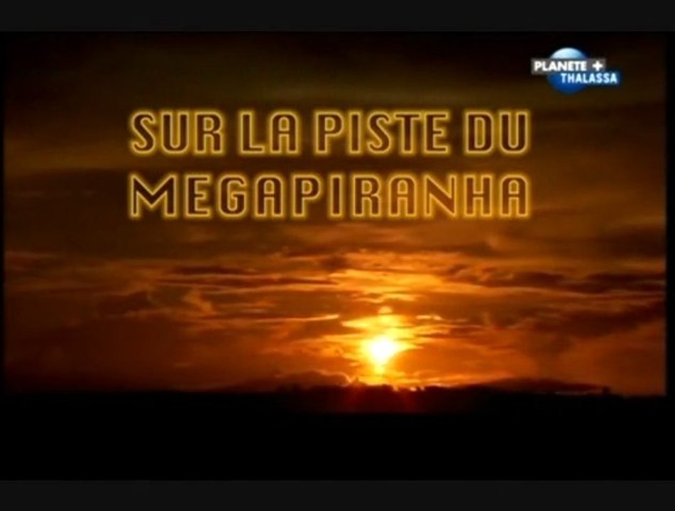 Sur la piste du mégapiranha
