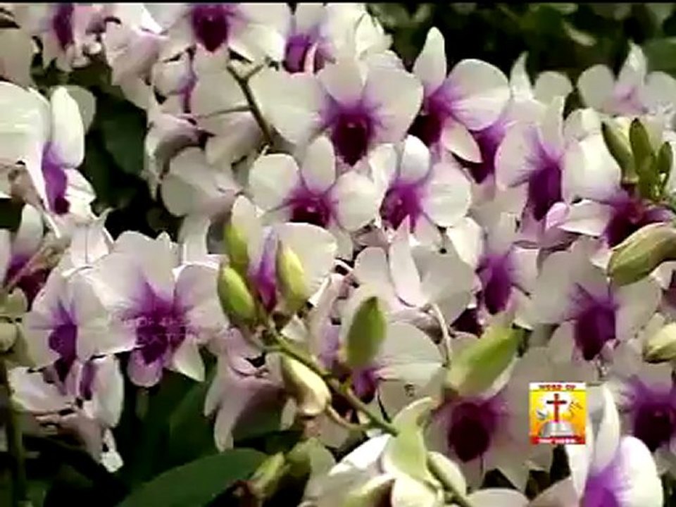 என் மனதை கவர்ந்த பாடல்-26 (தனிமையின் பாதையில்)