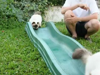 there's something in the water