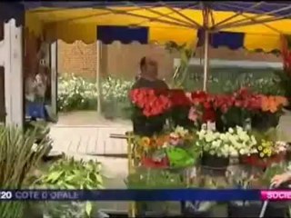 Vidéo France 3 concernant la distribution d'éthylotests