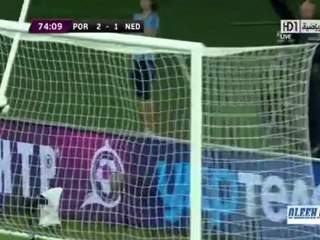 اهداف رونالدو في يورو 2012