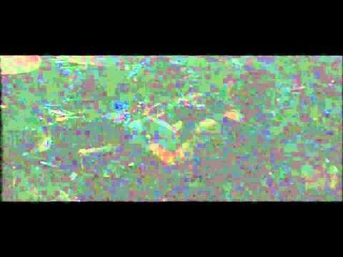 Slayer plagued by health problems