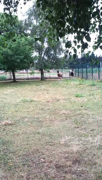 20120701_145558