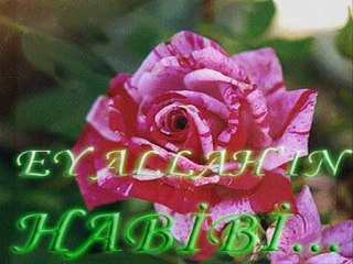 Hasan selcuk Birdal-Hasretim Var  Muhammede ilahisi