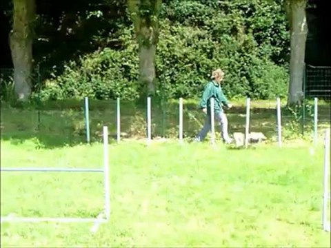 entrainement 1er juillet 2012