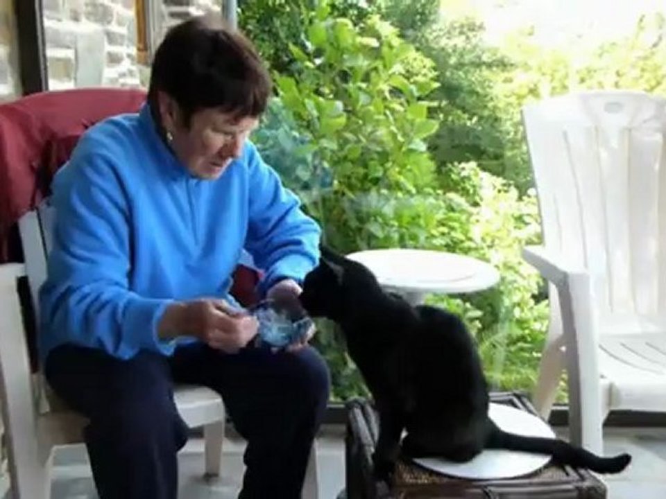 leonce juin 2012