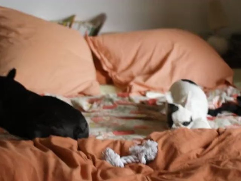 Colette fait la folle sur le lit 1er juillet 2012