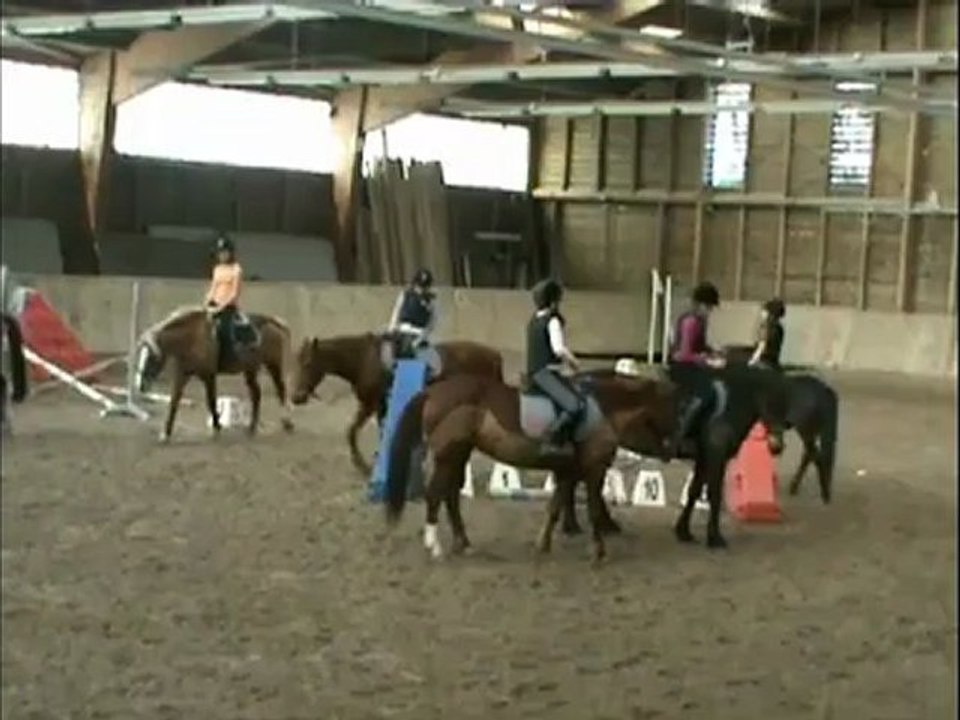 Le bonheur souffle entre les oreilles d'un cheval