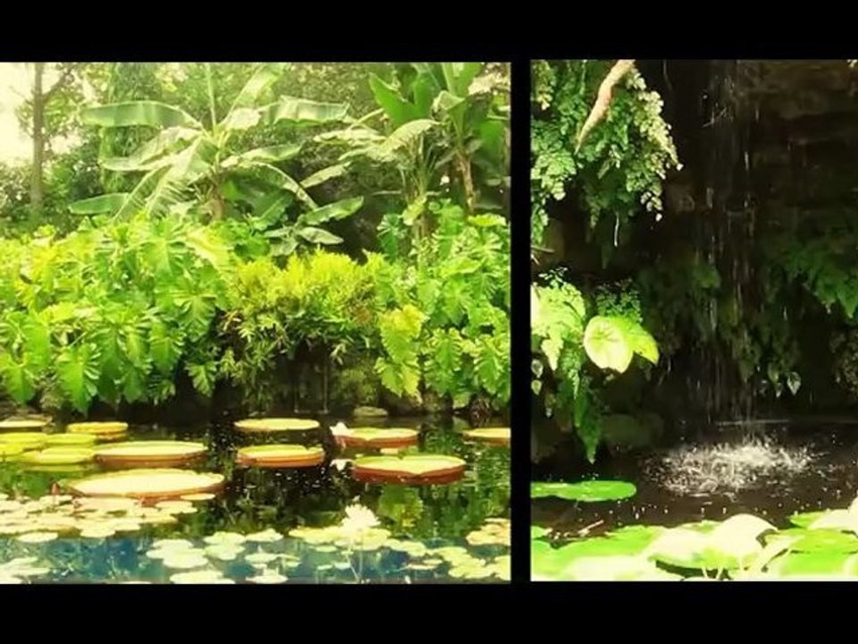 Voyage Floride 2012