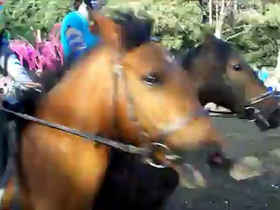 Spectacle - vendredi 29 juin 2012