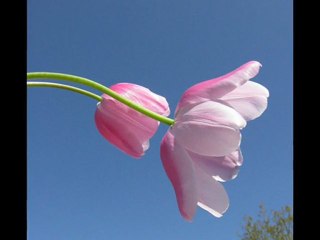 Zamba De Mi Esperanza.