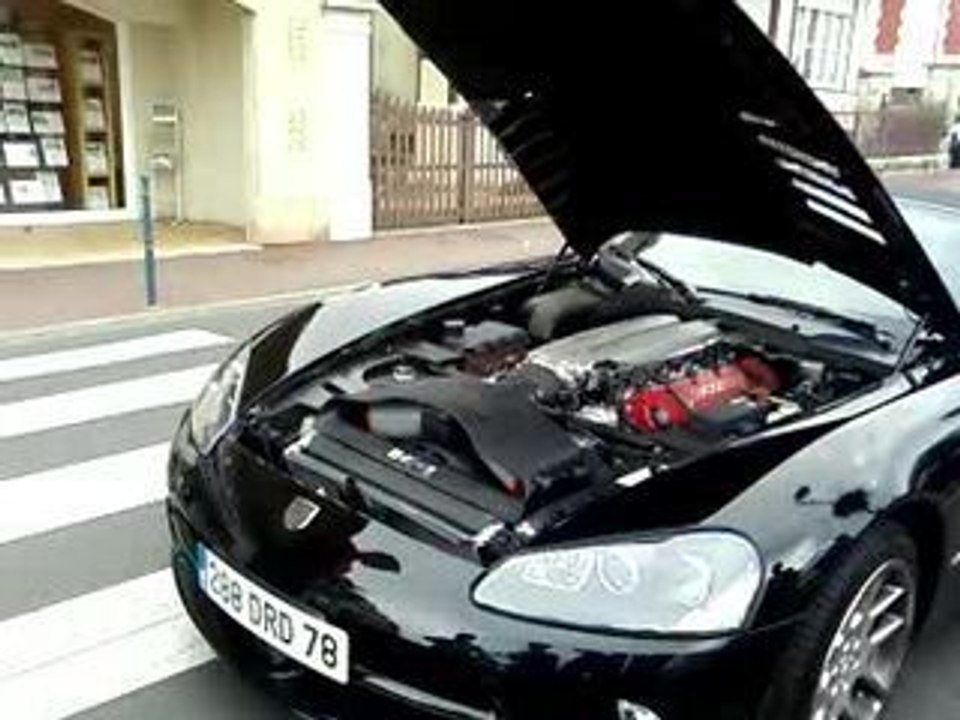 viper noire