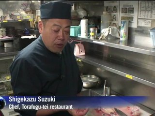 Pufferfish a hit in Japan, despite the risks