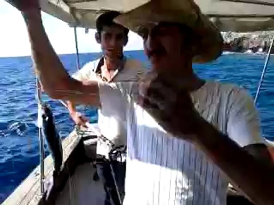 Video-0005