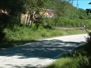 Andreani & Michon Rallye du Prunelli 2012