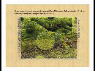 Tile Cleaning Frisco