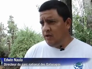 Avec la mort de Georges, c'est une espèce rare de tortue qui disparaît