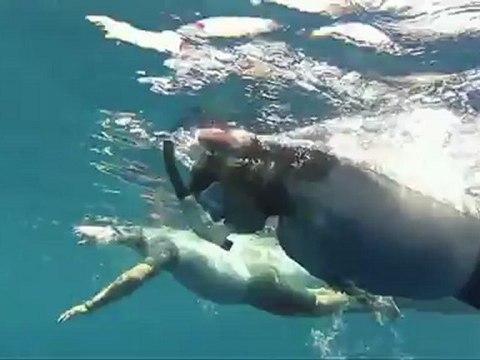 Philippe Croizon, le nageur français ampué qui a traversé la mer Rouge